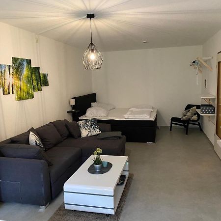 אלטנאו Ferienwohnung Schneewittchen מראה חיצוני תמונה